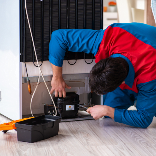 Fridge Repair Service In Dubai